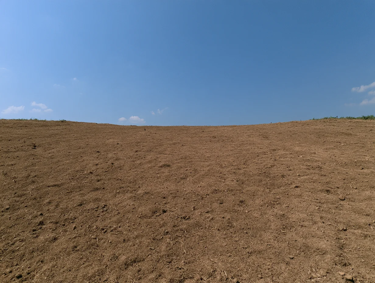 Open field environment reference