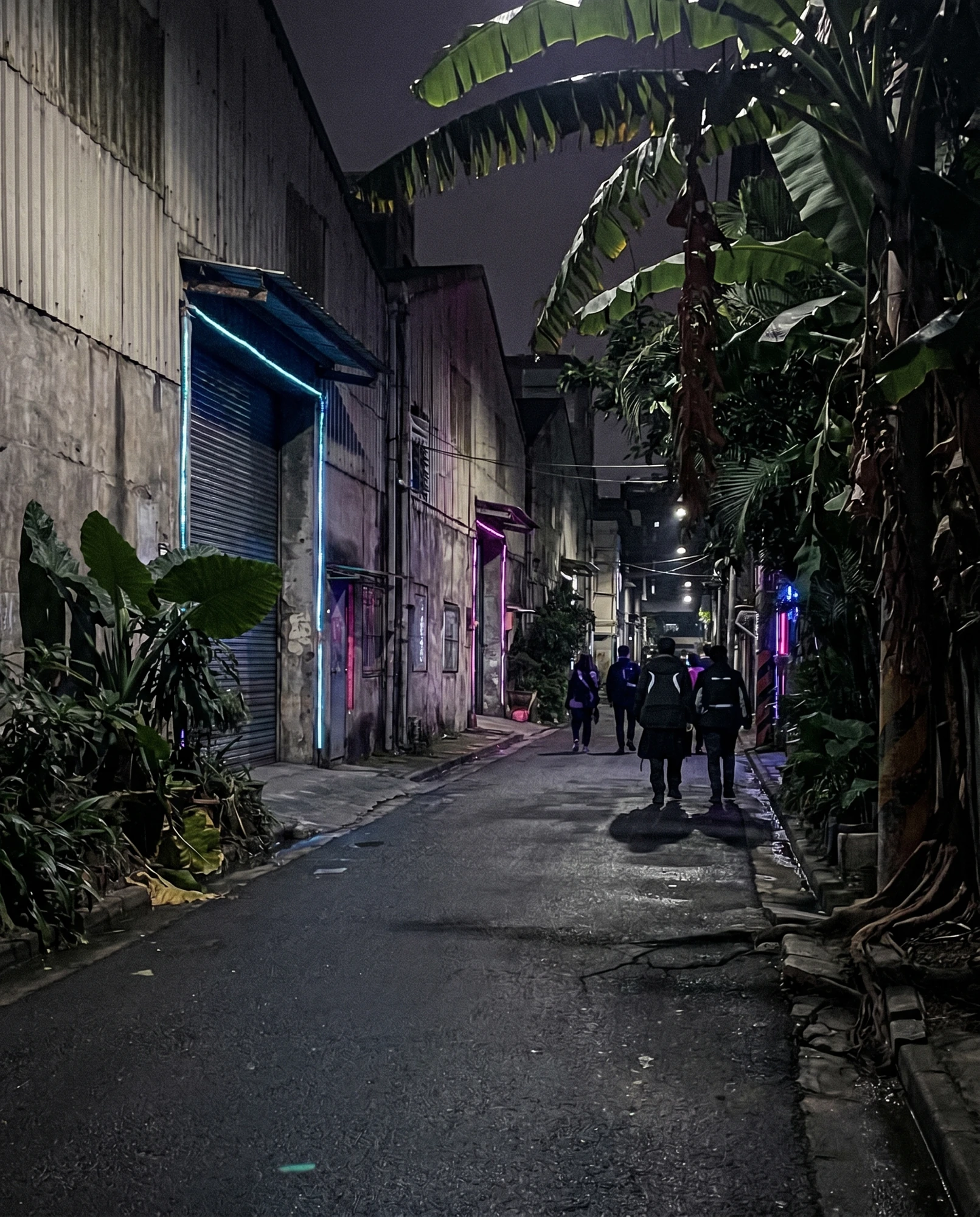A neon-lit industrial alley surrounded by vegetation at night.